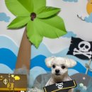 늘, 예쁘개 이미지