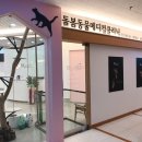 돌봄동물메디컬클리닉 이미지