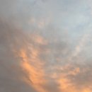 720 | 제천 리솜 리조트 야외 바베큐 [더그릴720] 후기_내돈내산