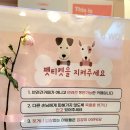 멜로우디(MELLOW:D) 이미지