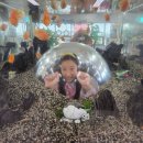 밀레쥬 에듀파크 | 밀레에듀파크 (솔직한 후기)