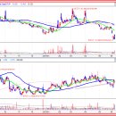 -전일 상한가﻿[정보]종목확인과 하한가[정보]종목확인- 이미지