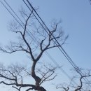 곡남1리마을회관