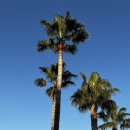 애월 별스테이 이미지