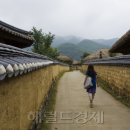 경상북도 안동시 하회마을관리사무소 이미지