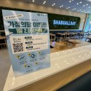 회성동100 이미지