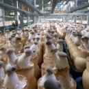 성무농장 이미지