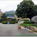 용봉초교 이미지