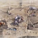 생명의소리Ⅱ 이미지