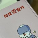 금실농장 | 전국 1등 프리미엄금실딸기 "안씨베리" 구매 후기 🍓🍓🍓🍓