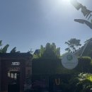 포레스트813 | 발리여행 :: 우붓여행 필수코스 푸트리스파3 + 우붓맛집 피손 방문후기