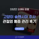 보성통증동물병원 | 순천 동물병원 고양이 솔렌시아 주사, 관절염 통증 관리 후기