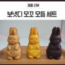 보냇디