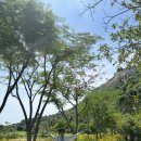 고삼목장 | 나트랑 가족여행 판랑사막단독투어 :당일치기 단독투어후기