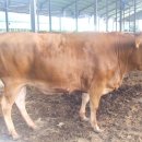 달맞이목장 이미지