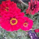 오리고을 이미지