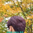 금정역 5번출구 앞 | 금정역미용실 자름헤어 추천 레드브라운염색