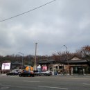 5286 | 봉은사역: [2025 10주년 감귤데이]후기/ 뉴진스님 봄!