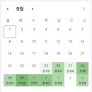 11620-15-77-13 | 77회 약사 국가고시 자세한 후기와 과목별 공부팁!(1편)