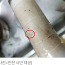 &#34;인천 애벌레 수돗물 원인은 여과지? 그거 &#39;웅덩이&#39;예요&#34; CBS라디오 &lt;김현정의 뉴스쇼&gt; 정수기 관련주식