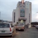 진도개사랑 이미지