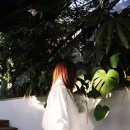 봄브로우 이미지
