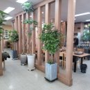 대교웰빙음식카페 이미지