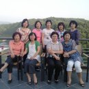 백마자원 이미지