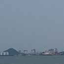 신항민박 이미지