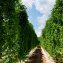 슬기농장 이미지