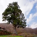 진안산소 이미지