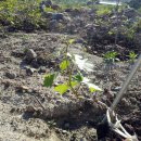 장석농장 이미지