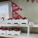 들말농장 이미지