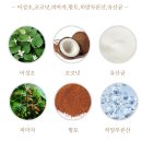 생생어성초 영농조합 법인 이미지