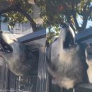 개미용실 이미지