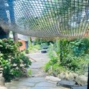 로빙화 | (남원맛집)피자 맛집 추천, 로빙화방문 후기