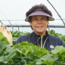 여장부(2농장) 이미지