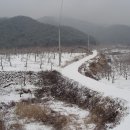 햇살로과수원