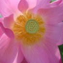 원식농장 이미지