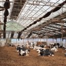 가축농장 이미지