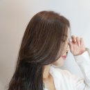 애리헤어컷