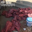 나눔인테리어.설비