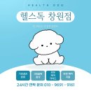 무지개독 | 장유먼치킨분양 헬스독 창원점에서 만난 숏레그 천사 입양 후기