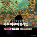 제주해양과학관 (아쿠아플라넷) | 제주 아쿠아플라넷 할인 공연시간 제주도 실내 가볼만한곳 후기