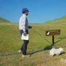 송학동-10 이미지