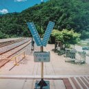 철암농산물 이미지