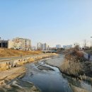 덕송천 이미지