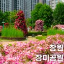 장미공원 주차장 | 창원 여행 장미공원 나들이 피크닉 데이트 주차장 후기