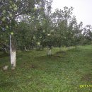 주식회사 동방아그로 이미지