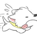 소중한 개 이미지